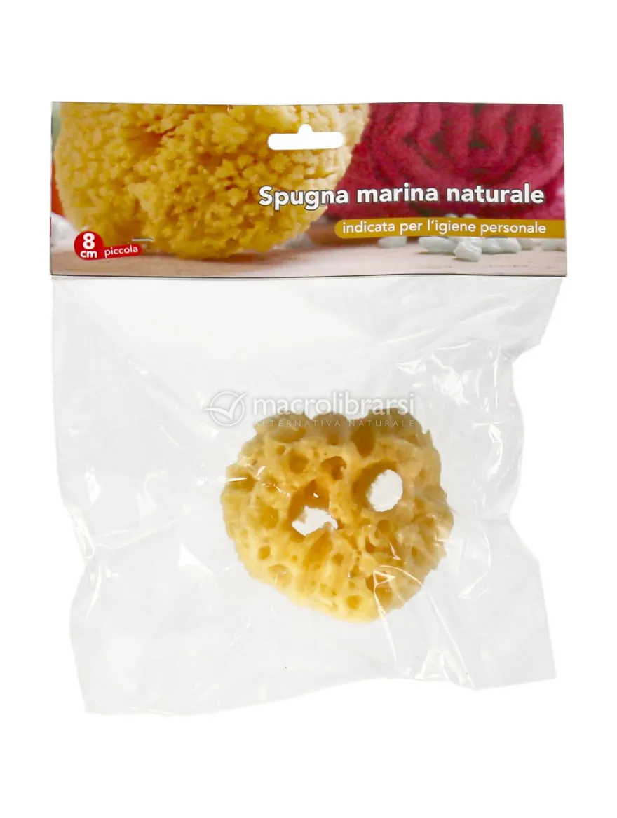 Spugna Marina Naturale Piccola 8 Cm