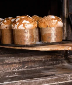Stampo Panettone in Carta - Confezione 5 Pezzi
