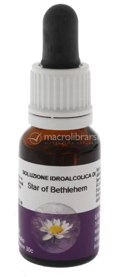 Star of Bethlehem - Fiori australiani