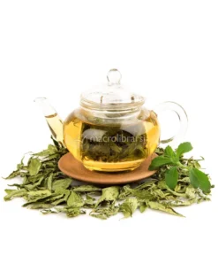 Stevia Bio in Foglie