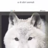 Storie di Lupi Famosi
