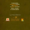 Storie di Numeri