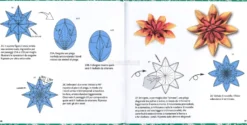 Strappa e Piega - Origami Fiori