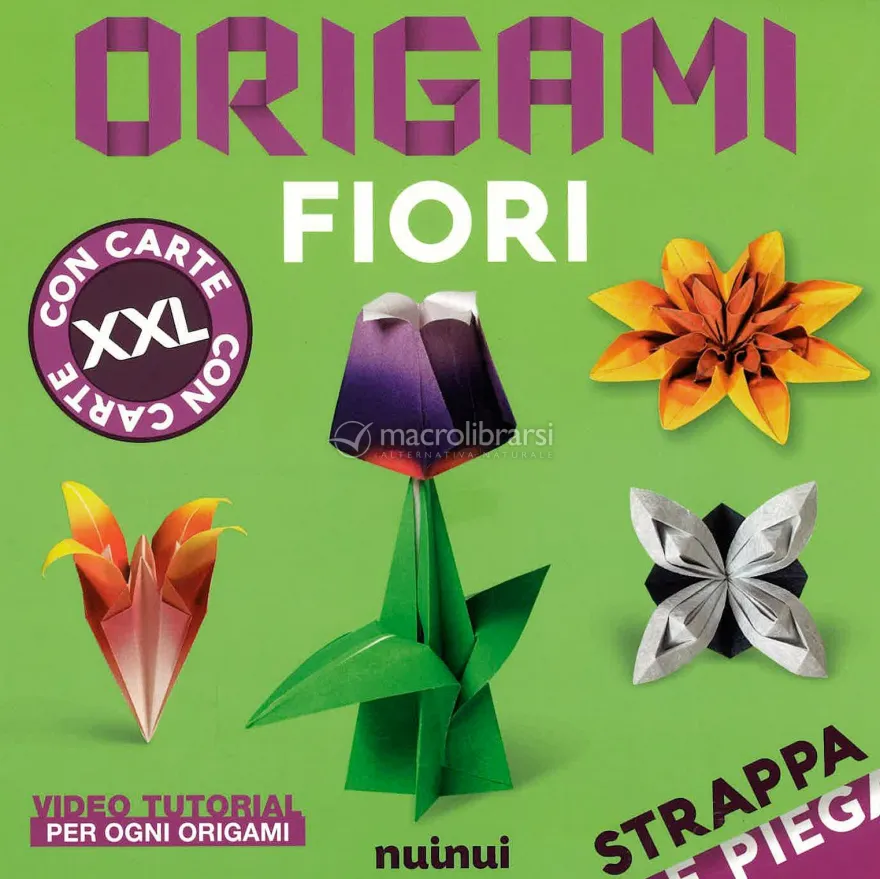 Strappa e Piega - Origami Fiori