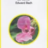 Sulle Orme del Dottor Edward Bach
