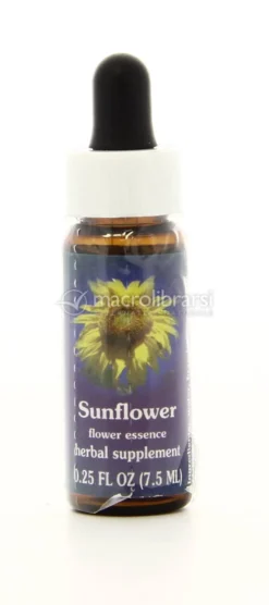 Sunflower - Fiori californiani