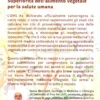 Superiorità dell'Alimento Vegetale per la Salute Umana