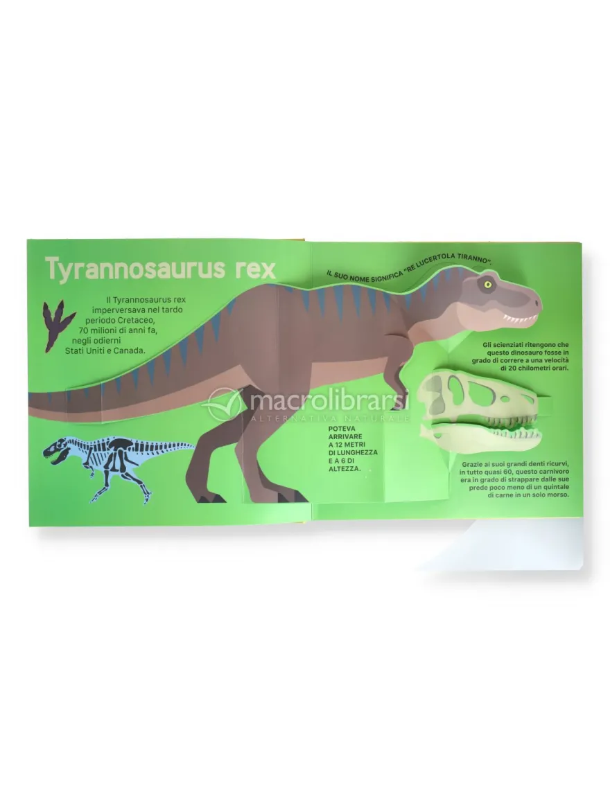 Super Pop Up - Dinosauri