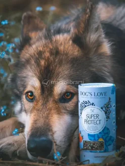 Super Protect