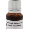 Swan River Myrtle - Fiori australiani