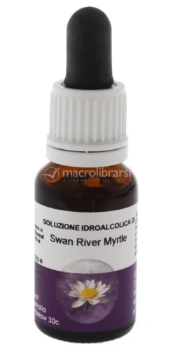 Swan River Myrtle - Fiori australiani