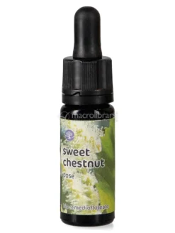 Sweet Chestnut - Dose