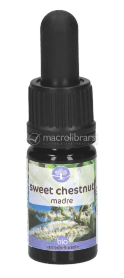 Sweet Chestnut - Soluzione Madre