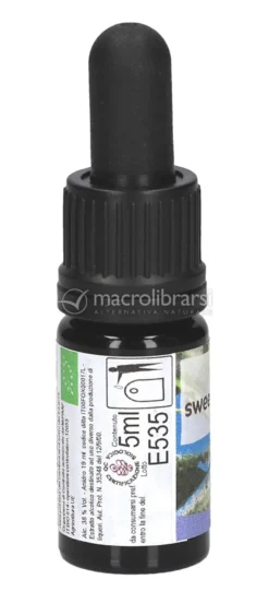Sweet Chestnut - Soluzione Madre