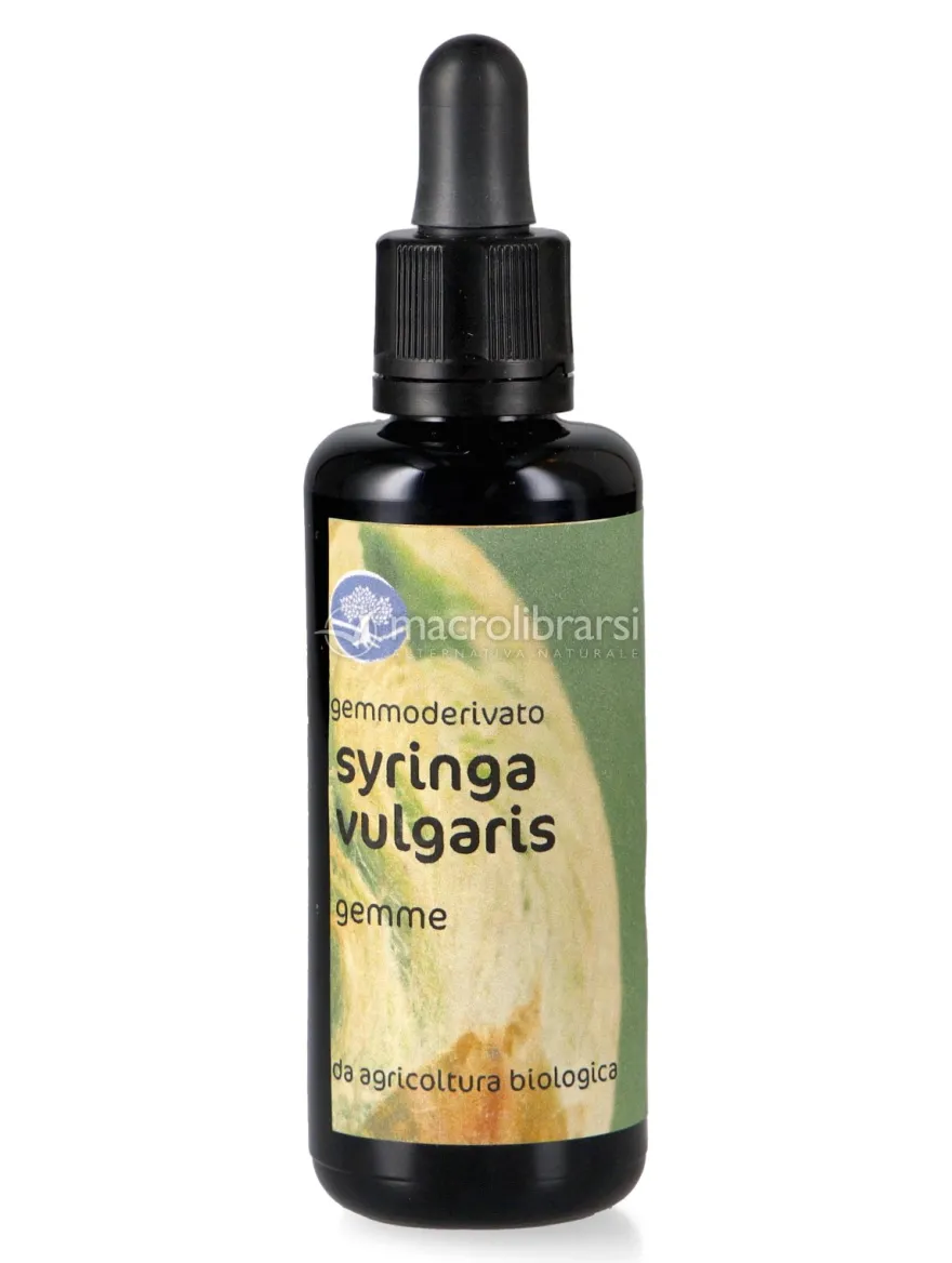 Syringa Vulgaris - Gemmoderivato Floripotenziato - Gemme