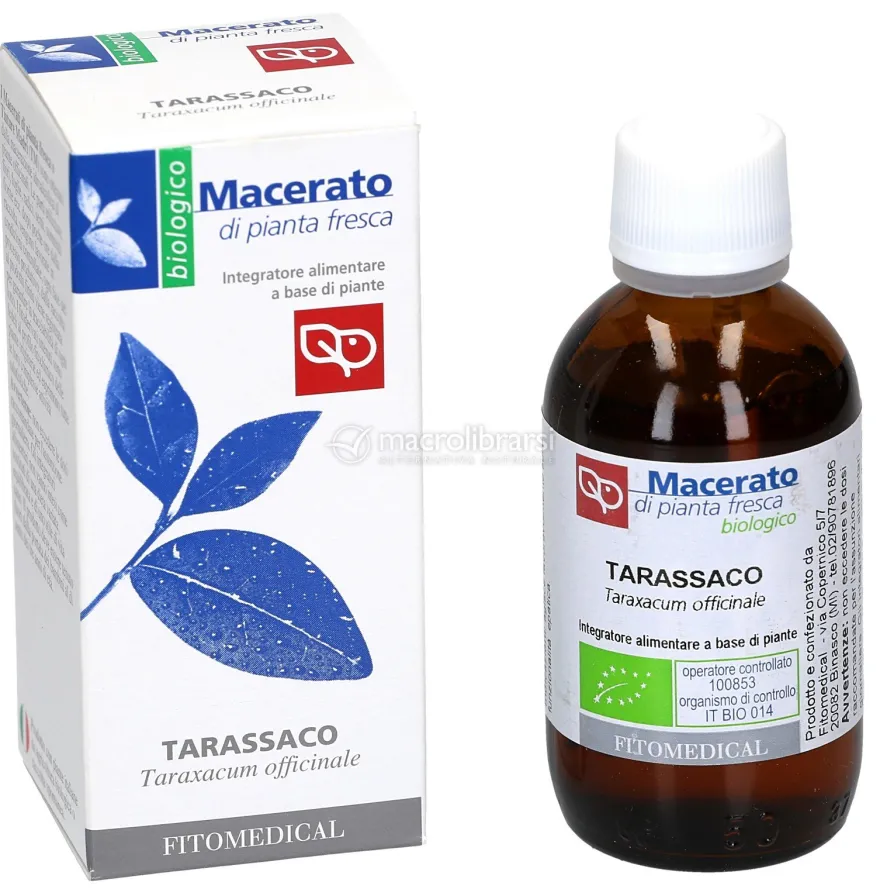 Tarassaco - Macerato di Pianta Fresca Bio