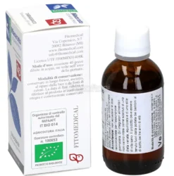Tarassaco - Macerato di Pianta Fresca Bio