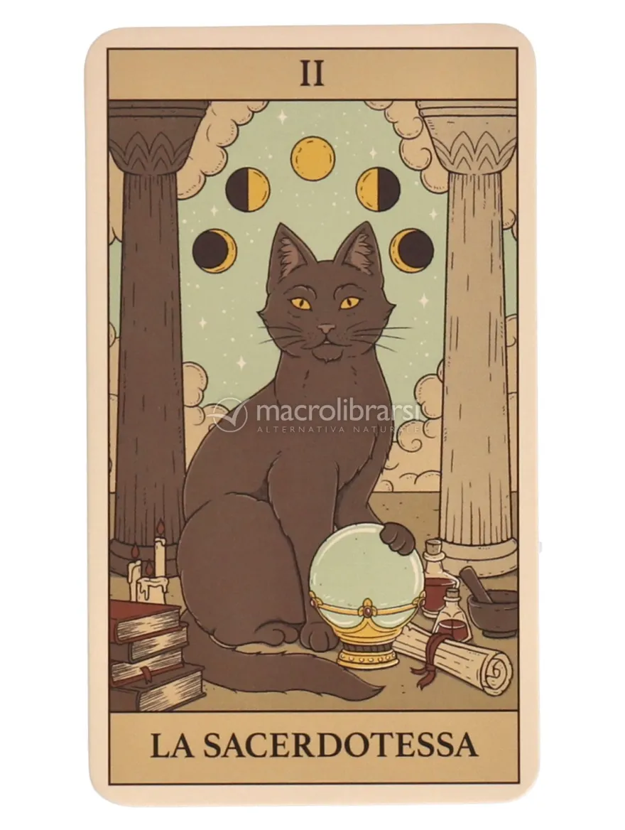 Tarocchi Magici dei Gatti