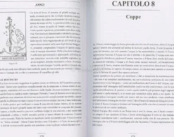 Tarocchi - Settantotto Livelli di Saggezza