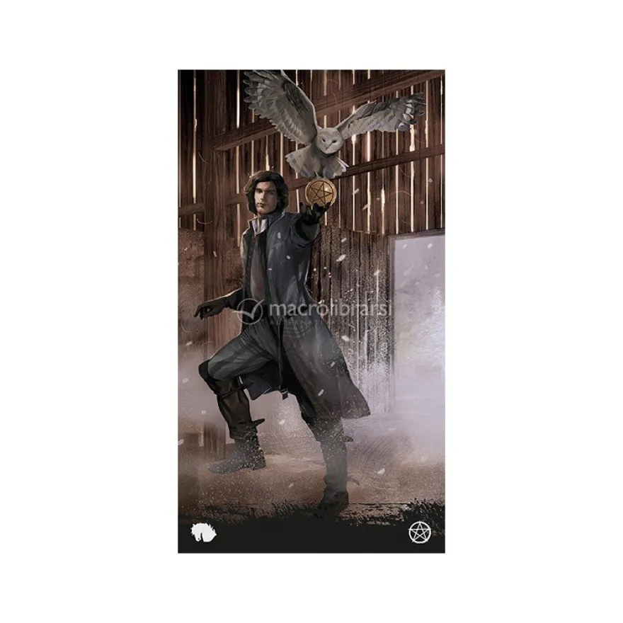 Tarot of Haunted House - Tarocchi della casa Infestata