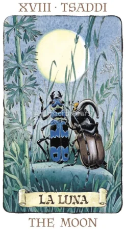 Tarot of the Gnomes - Tarocchi degli Gnomi