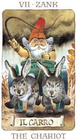 Tarot of the Gnomes - Tarocchi degli Gnomi