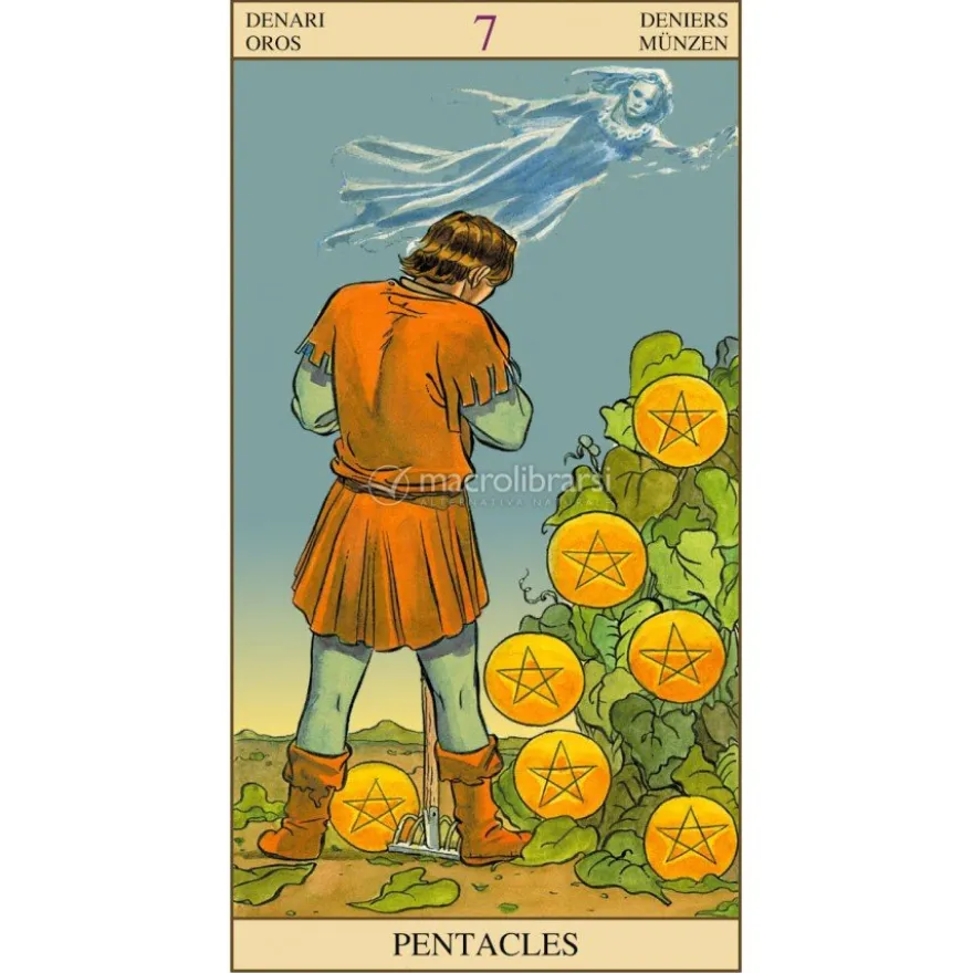 Tarot of The New Vision