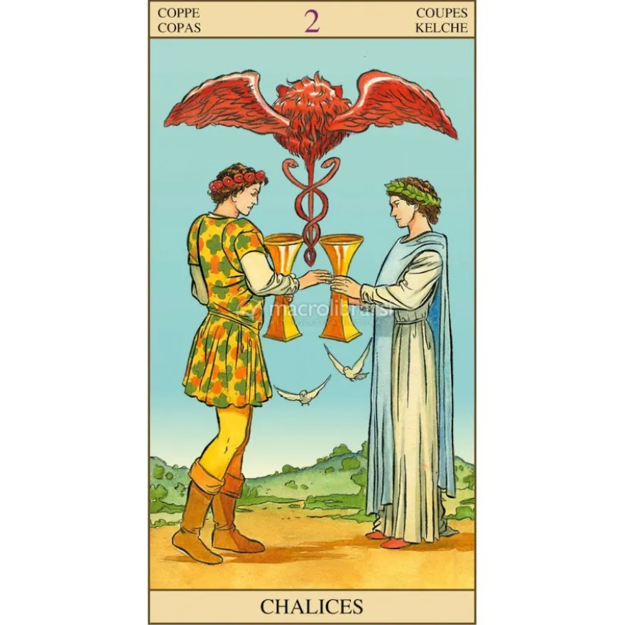 Tarot of The New Vision