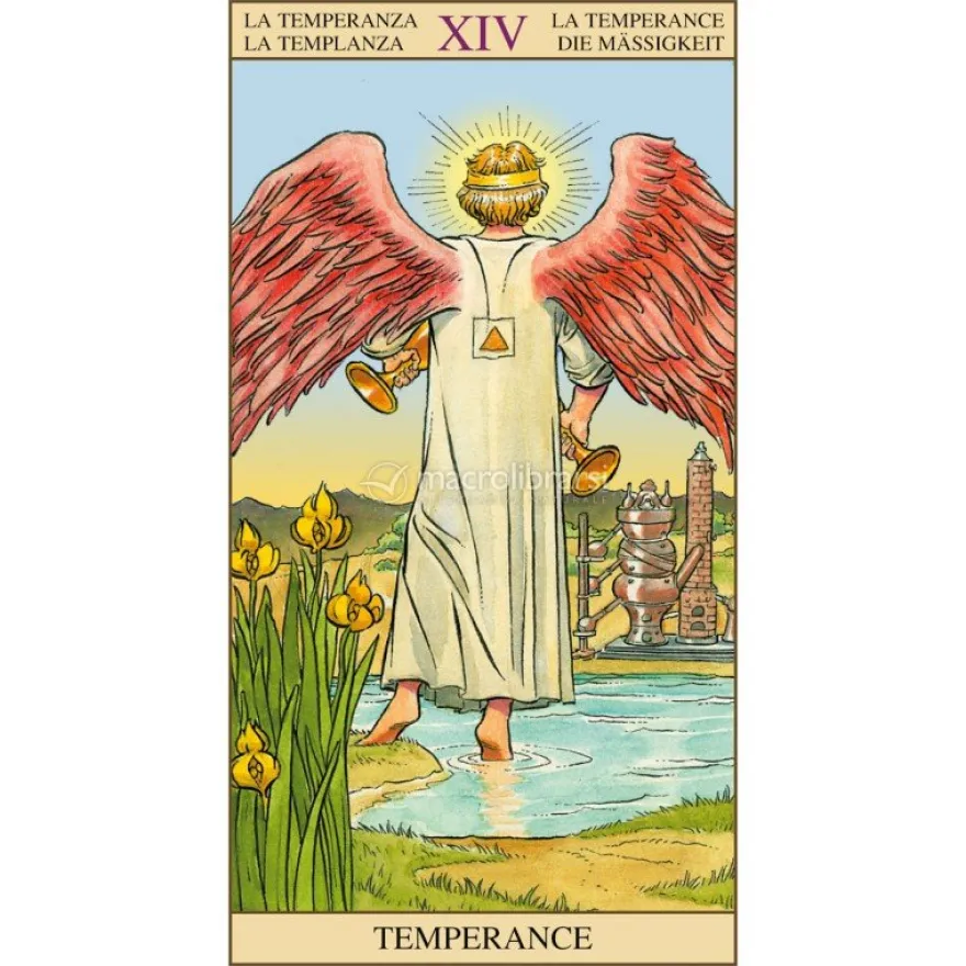 Tarot of The New Vision - Tarocchi della Nuova Visione