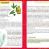 Tea Tree: il nettare curativo aborigeno