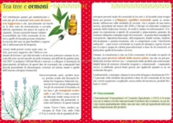 Tea Tree: il nettare curativo aborigeno