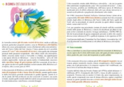 Tea Tree: il nettare curativo aborigeno