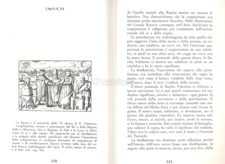 Teorie e Simboli dell'Alchimia