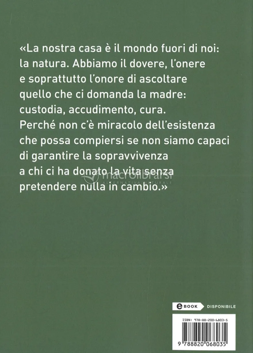 Terra