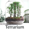 Terrarium