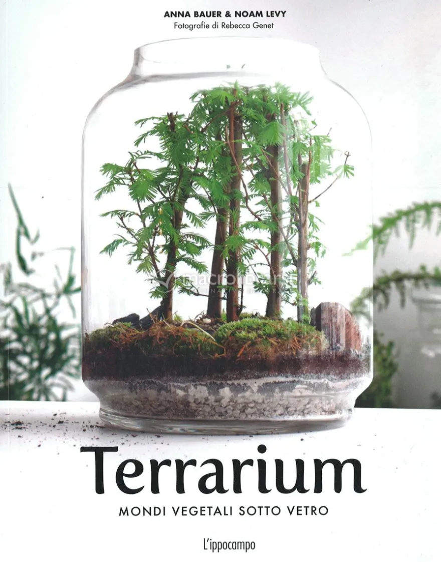 Terrarium