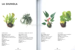 Terrarium