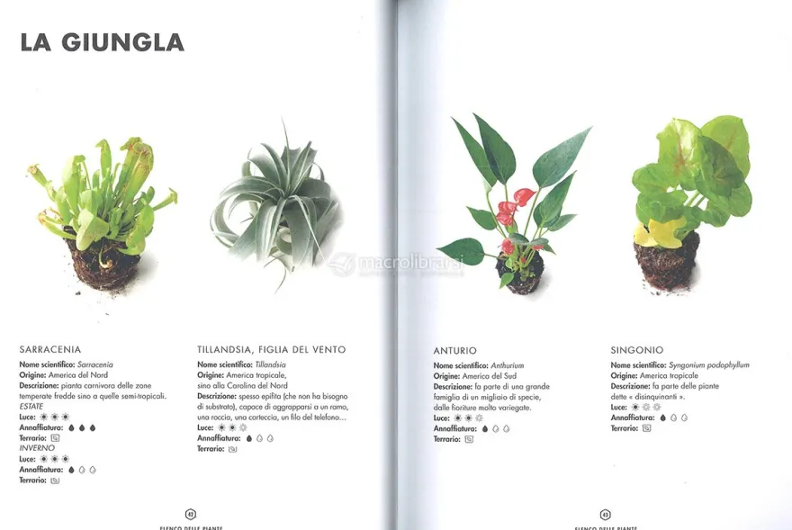 Terrarium