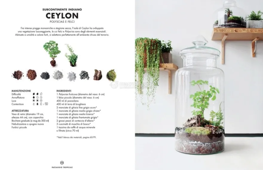 Terrarium