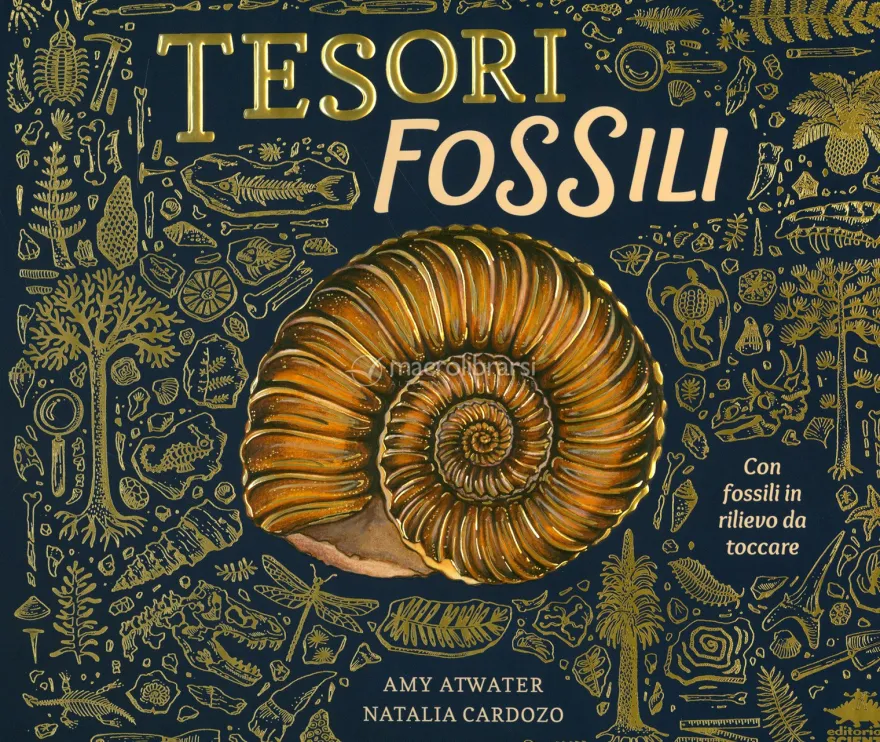 Tesori Fossili