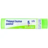 Thlaspi Bursa Pastoris 5CH Granuli Boiron