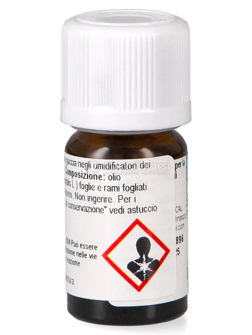 Thuja Olio Essenziale