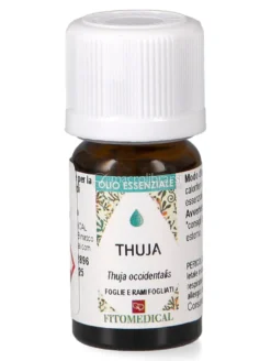 Thuja Olio Essenziale