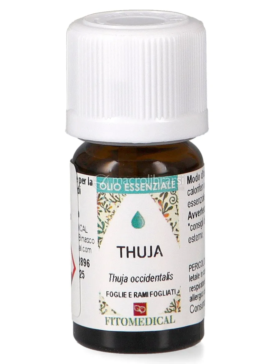 Thuja Olio Essenziale