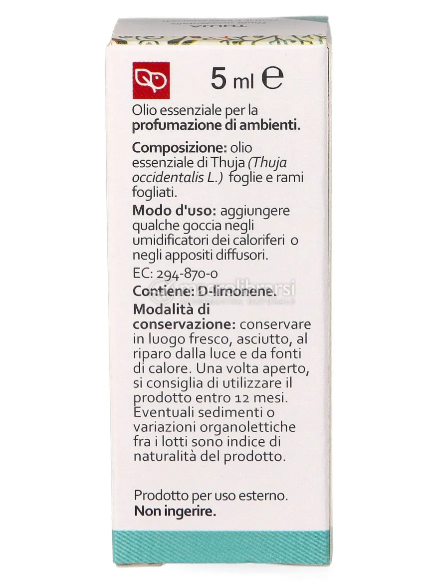Thuja Olio Essenziale