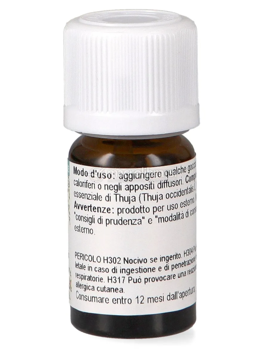 Thuja Olio Essenziale