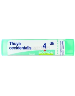 Thuya Occidentalis 4DH Granuli Boiron
