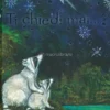 Ti Chiedi Mai…?