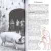 Ti Racconto il Contadino