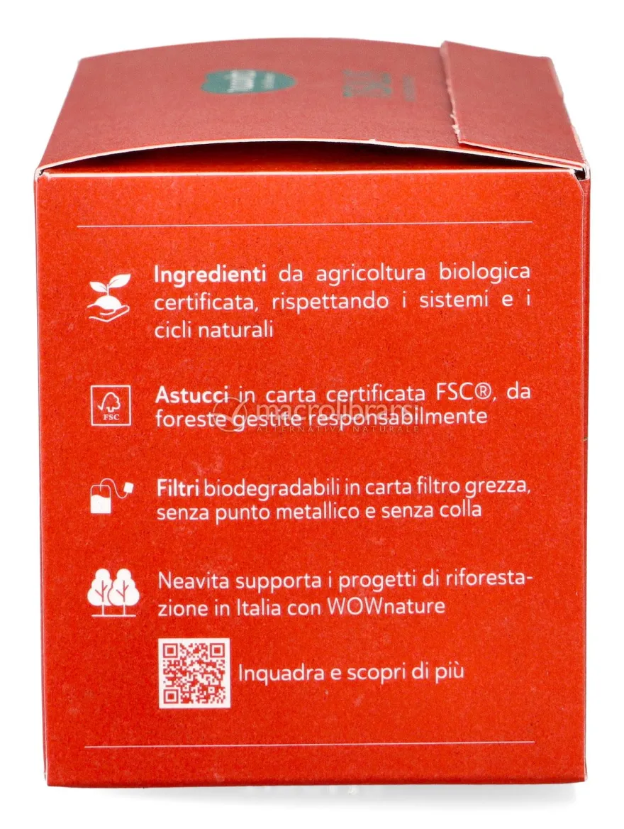 Tisalis - Infuso Mela e Cannella Bio